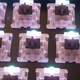 Switches de un teclado retroiluminado. Foto: Keychatter